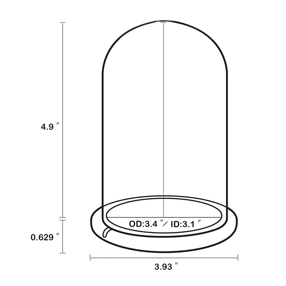 Ivolador 4.9 x 3.1 Glass Display Cloche Dome with Solid Wood Base Large Size Office Home Decoration