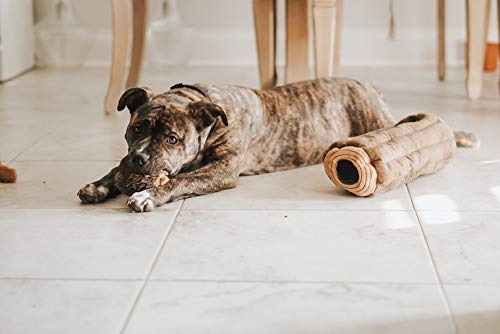 Burrow- Interactive Dog &amp; Puppy Toys for Boredom, Stimulating Pet Products to Keep them Busy, Hide &amp; Seek Plush Dog Puzzles, Squeaky Toy for Enrichment, For Small &amp; Medium Dogs- Chipmunk Log