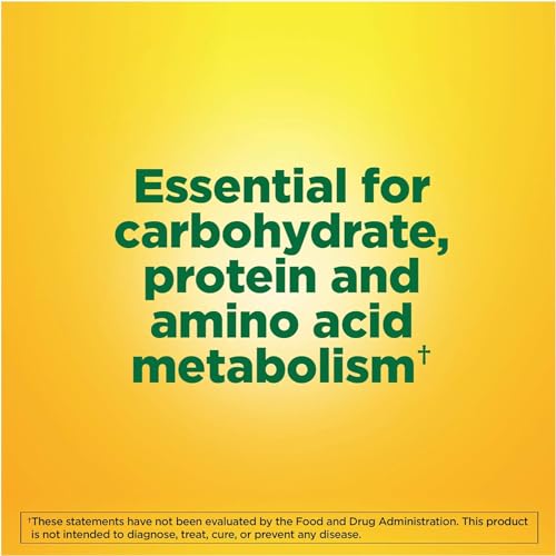 Vitamin B-6 100 Mg, Tablets, 100-Count (Pack of 2)