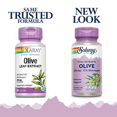 Guaranteed Potency Olive Leaf Extract, Veg Cap (Btl-Plastic) 250mg | 30ct
