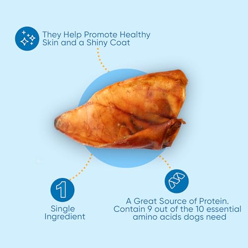Natural Pig Ears for Dogs, 100% Natural Long Lasting Pork Dog Chews, Ideal for All Chewers, Delicious and Healthy Dog Treats, Pig Ears Large and Mix (one Pack of 100)
