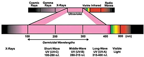 3 UV-C Replacement Bulb by Homezens, Compatible with Germ Guardian Air Purifier GG1000, GG1000CA, GG1100, GG1100B, GG1100W, LB-1000, LB1000, GGH200, 661000CA (3 Pack)