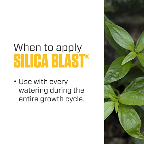 Silica Blast, Plant Supplement, 0-0-0.5, 1 qt.