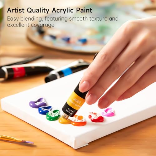 Acrylic Paint Set, 16 x12ml Tubes Artist Quality Non Toxic Rich Pigments Colors Great for Kids Adults Professional Painting on Canvas Wood Clay Fabric Ceramic Crafts