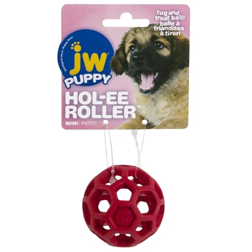 Hol-ee Roller Dog Toy Puzzle Ball, Natural Rubber, Mini (1.75 Inch Diameter), Colors May Vary