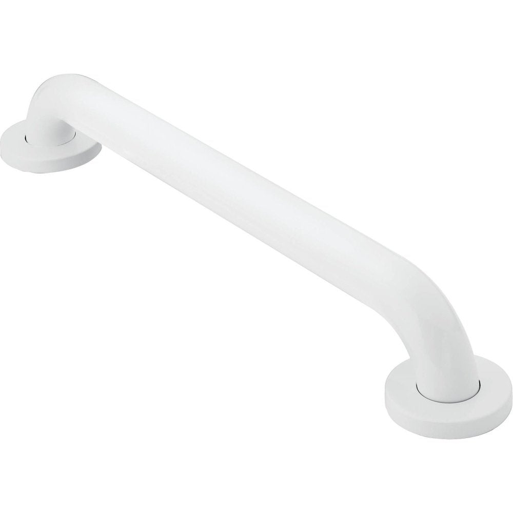 R8724W Home Care Bathroom Safety 24-Inch Grab Bar with Concealed Screws, Glacier
