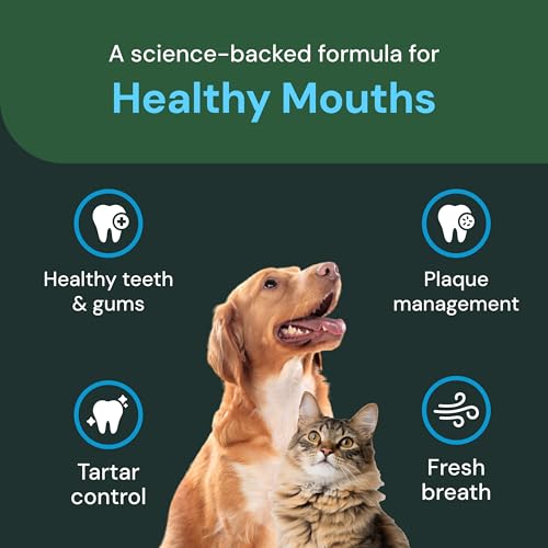 VetriScience Perio Support Pro - Dental Health Powder for Dogs & Cats - Supports Breath Freshening & Aids Against Plaque - Comprehensive Dental Support with Zinc, Cranberry & Taurine - 16 oz