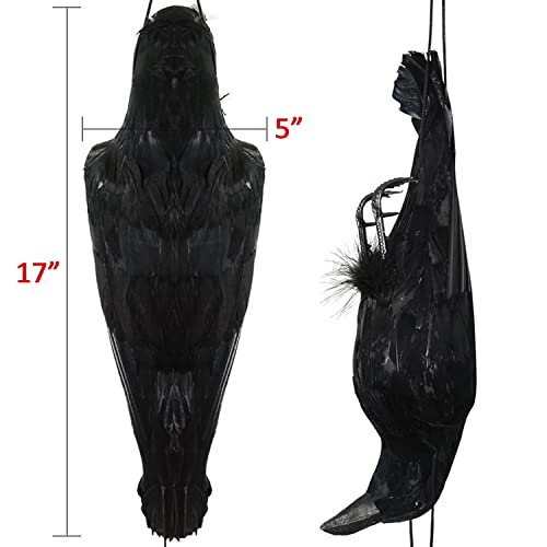 17'' Realistic Hanging Crows Realistic Crows Lifesize Extra Large Handmade Black Feathered Crow