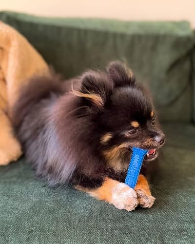 Gumabone Textured Dental Bone Flexi Chew Toy for Dogs, Dog Toys for Moderate Chewers, Chicken Flavor, Small - Up to 25 Ibs, 1 Count