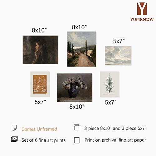 Vintage Farmhouse Wall Decor - Flower Portrait Neutral Wall Art for Boho French Country Kitchen, Bathroom, Bedroom Picture Poster Print, Brown Room Decor Aesthetic Botanical Cottagecore 6 Set Unframed