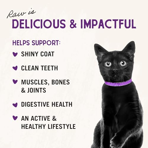 Stella &amp; Chewy&#39;s Freeze-Dried Raw Cat Dinner Morsels – Grain Free, Protein Rich Cat &amp; Kitten Food – Duck Duck Goose Recipe – 18 oz Bag