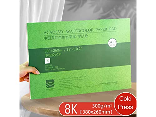 Academy Grade Watercolor Block, 100% Cotton, Acid-Free, 140LB/300GSM, Cold Press Textured, 20 Sheets per Block (Cold Press 15x10.2)