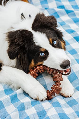 Textured Ring Power Chew Toy for Dogs, Dog Toys for Aggressive Chewers, Flavor Medley, X-Large Dogs - 50+ lbs, 1 Count