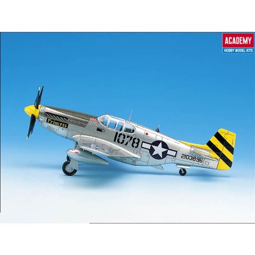 The Fighter of World War II P-51C Model Kit, Gray