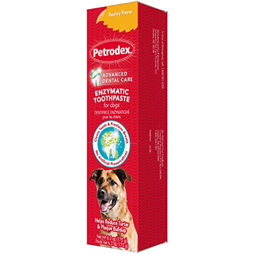 Toothpaste for Dogs and Puppies, Cleans Teeth and Fights Bad Breath, Reduces Plaque and Tartar Formation, Enzymatic Toothpaste, Poultry Flavor, 6.2oz