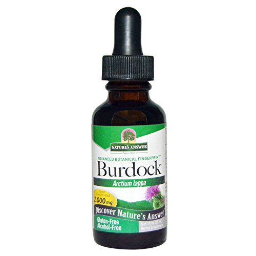 Nature&#39;s Answer Burdock Root - 1 fl oz