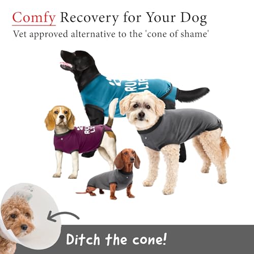 Recovery Suit for Dogs, Comfy Dog Surgery Suit, Female Spay and Male Neuter Onesie for Post-Op Care