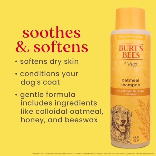 Burt&#39;s Bees for Pets Oatmeal Dog Shampoo with Colloidal Oat Flour and Honey, 95% Natural Origin Formulas, Shampoo for Dogs - Gentle Dog Shampoo, Best Dog Shampoo, 16 oz