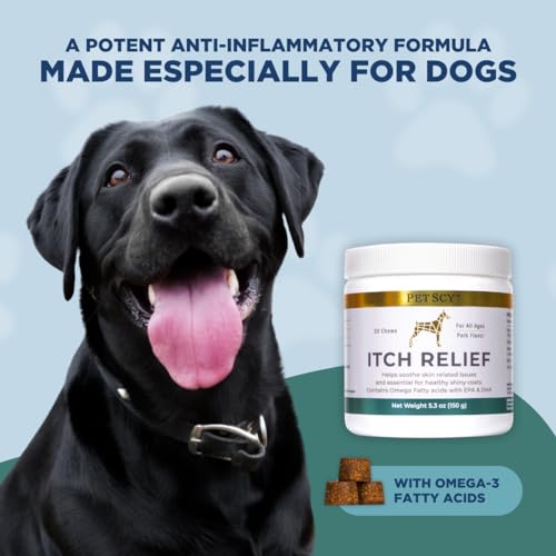PetScy Dog Itch Relief Chews with Omega 3 Fatty Acids, EPA &amp; DHA | Itch Relief for Dogs Nutritional Support, Immunity &amp; Muscles | Itchy Skin Treatment for Dogs of All Ages, Pork Flavor - 30 Chews