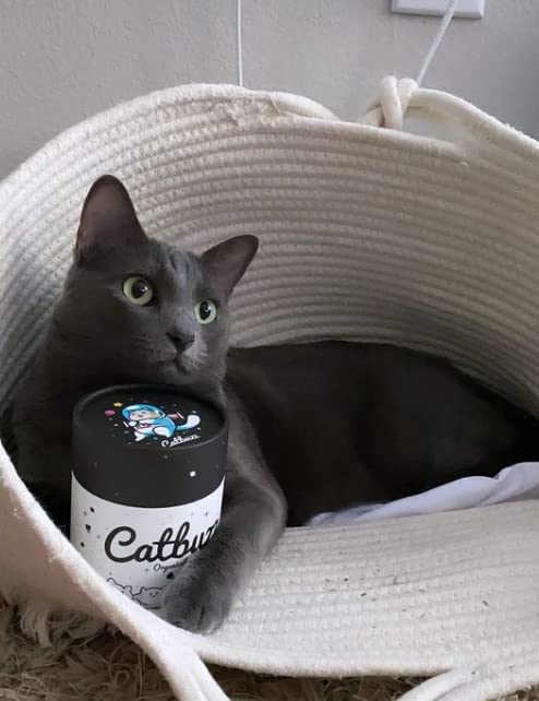 Catbuzz Premium and Organically Grown Catnip, Fresh, Grown by Family Farmers in The USA, All-Natural, Eco-Friendly, Sustainable