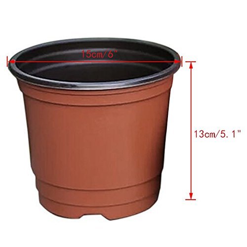KINGLAKE 50 Pcs 6 Plastic Plants Nursery Seedlings Pot/