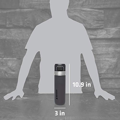Stanley Quick Flip GO Water Bottle 24 OZ / 0.71 L | Pus