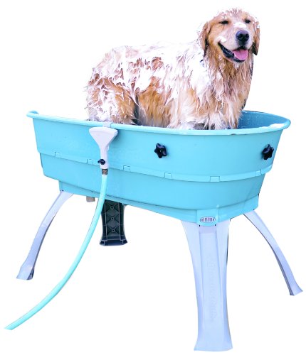 Elevated Pet Bathing, Teal, Large (Pack of 1)