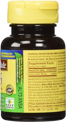 Vitamin B-6 100 Mg, Tablets, 100-Count (Pack of 2)