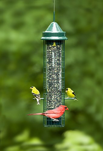 Classic Squirrel-proof Bird Feeder w/4 Feeding Ports, 2.4-pound Seed Capacity