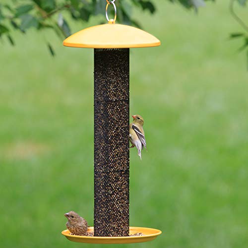 Perky-Pet YSSF00346-2 Straight-Sided Thistle Seed Wire Mesh Tube Finch Bird Feeder