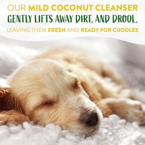 Hypoallergenic Dog Wipes for Paws, Butt, Face and Body, Safe for Puppy, Puppy Essentials, Cleaning Deodorizing, Unscented, Cat Safe, 100ct