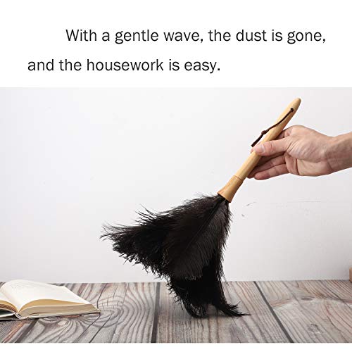 Feather Duster, Ostrich Feather Duster Ddzmz Fluffy Nat