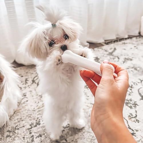 New Puppy Starter Kit, 2 Chew Toys and 1 Natural Treat for Puppies, Bacon & Chicken Flavor, Small - Up to 25 lbs, 3 Pack