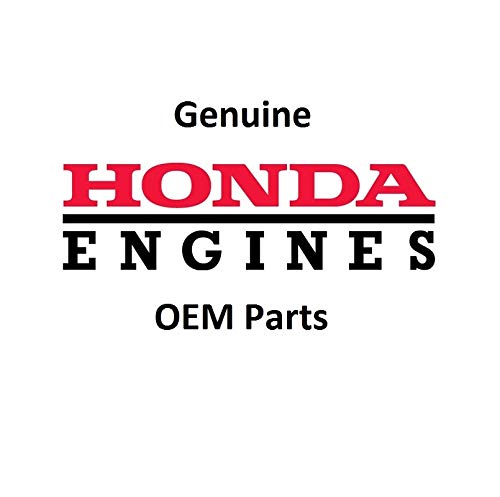 Honda 2 Pack Genuine 17210-Z4M-821 Air Filter Fits GX12