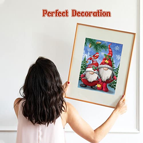 NAIMOER Christmas Diamond Art Gnomes Kits for Adults, F