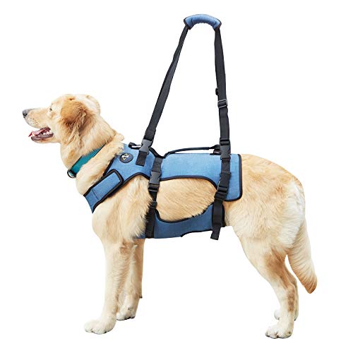 Dog Lift Harness, Full Body Support & Recovery Sling, Pet Rehabilitation Lifts Vest for Old Dog with Arthritis Walk(Bule,L)