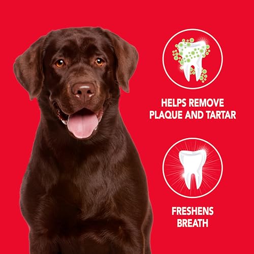 Toothpaste for Dogs and Puppies, Cleans Teeth and Fights Bad Breath, Reduces Plaque and Tartar Formation, Enzymatic Toothpaste, Poultry Flavor, 6.2oz