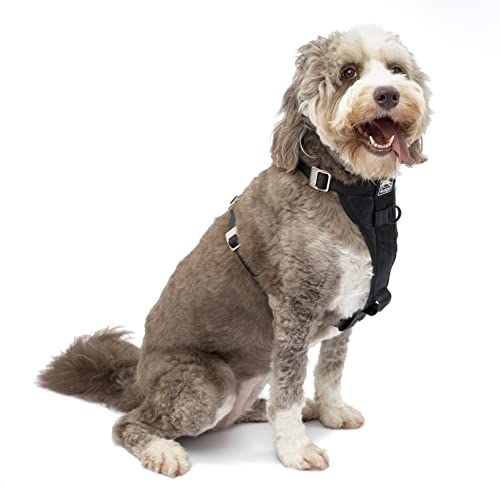 Enhanced Strength Tru-Fit Smart Dog Harness, Black, Large - Crash Tested Car Safety Harness for Dogs, No Pull Dog Harness, Includes Pet Safety Seat Belt Tether