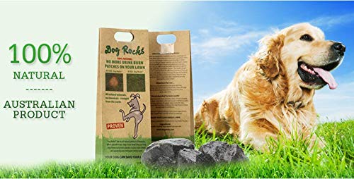Dog Pee Grass Neutralizer for Green Grass in 3-5 Weeks | Dog Grass Saver Rock | 100% Natural Urine Neutralizer for Lawn, Grass and Hedges | Grass Savers for Dog Urine | 600g, 6 Month Supply