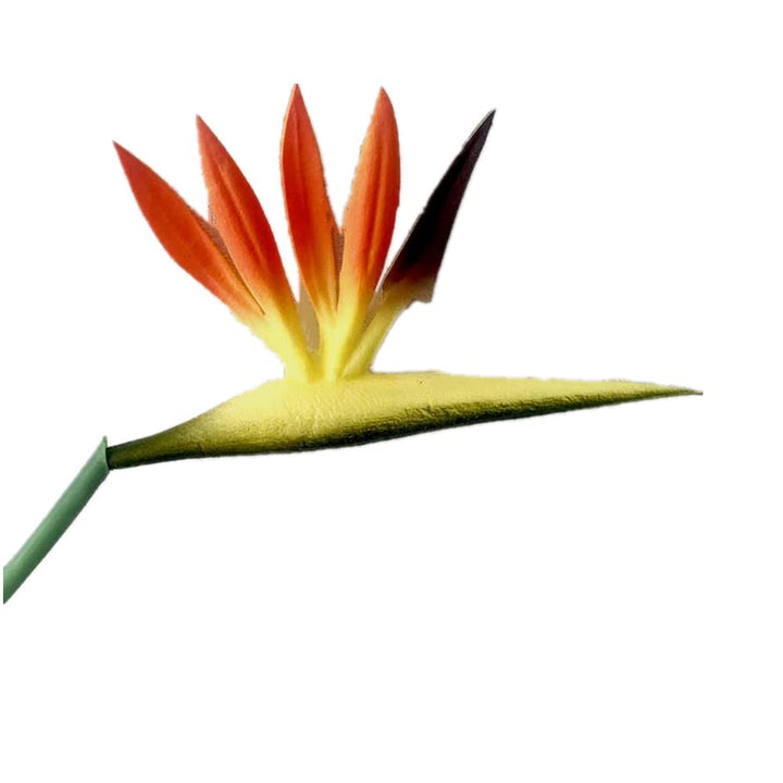8 Pack 21-1/2 Inch Artificial Flowers Bird of Paradise,Green Plant for Home Garden Decoration Office Verandah Wedding Decorations (Orange)