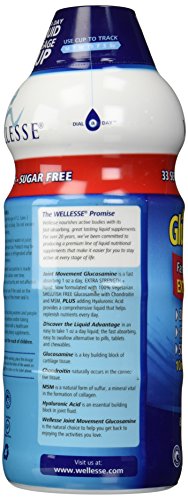 Joint Movement Glucosamine With Chondroitin & Msm 33.8 fl oz (1000 ml)