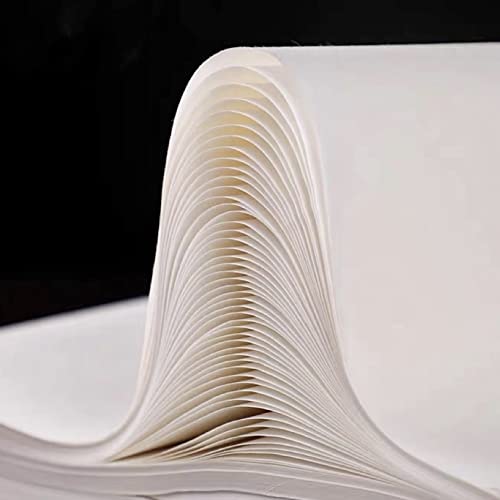 Chinese Japanese Calligraphy Sumi-e Writing Gongbi Drawing Practice Xuan Rice Paper No Grid 100 Sheets – 34 x 68cm (13.4 x 27.8 inch), Shu (Ripe) Xuan Paper