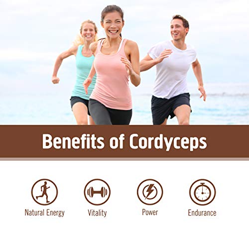 Cordyceps Organic Mushroom Powder, 3.5 Ounce, 50 Servings, Energy, Power, Stamina and Endurance Support, Superfood Supplement for Sports Performance
