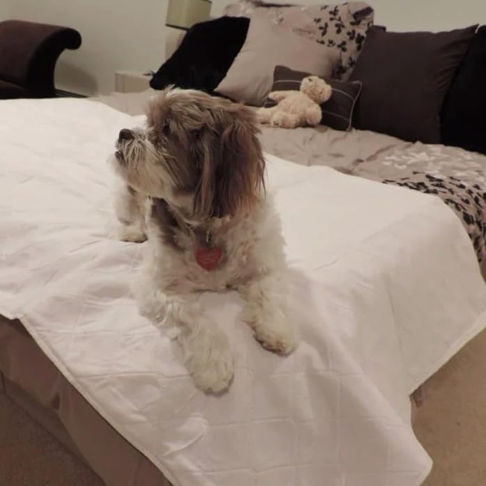 Pack of 4 - Reusable / Washable Large Dog / Puppy Training Travel Pee Pads - Size 24 x 36