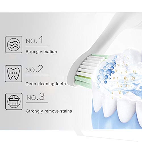 RED-NI Sonic Electric Toothbrush, 4 Free Replacement He