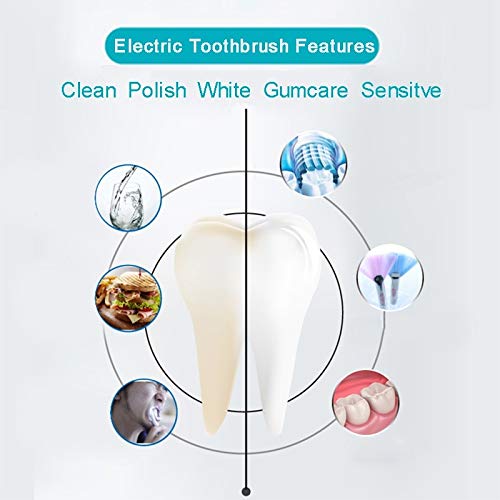 RED-NI Sonic Electric Toothbrush, 4 Free Replacement He