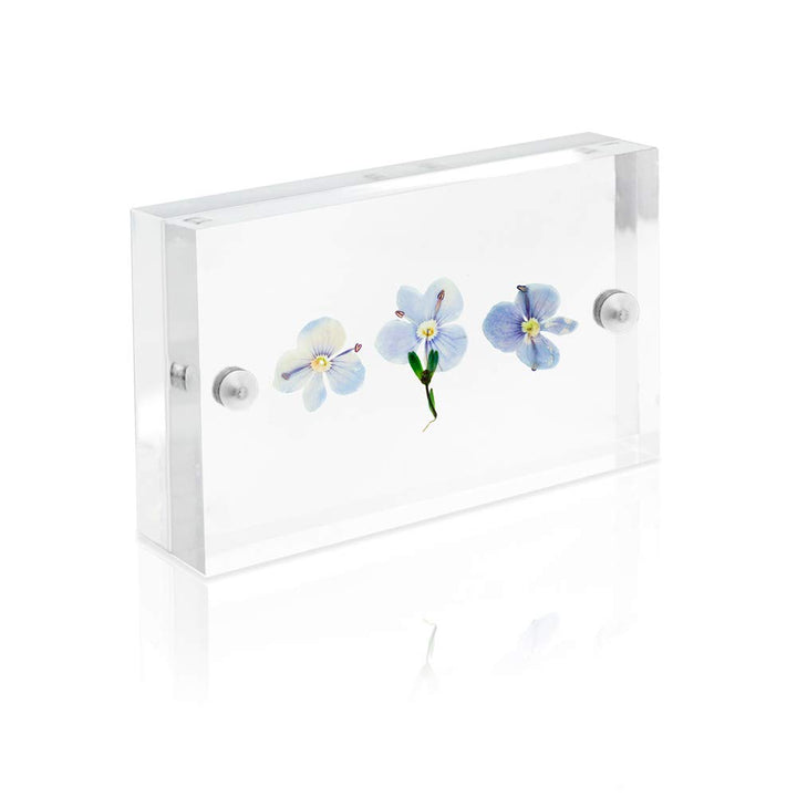 2” x 3” Super Thick [23MM Thickness] Clear Acrylic Magnetic Block Picture Frame, Double-Sided, Frameless, Freestanding, Floating Photos, for Desktop &amp; Tabletop Display (2x3)