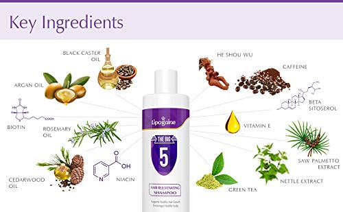 Big 5 Hair Stimulating Shampoo for Hair Thinning & Breakage, for All Hair Types, Men and Women, Infused With Biotin, Caffeine, Argan Oil, Castor oil and Saw Palmetto (Purple)