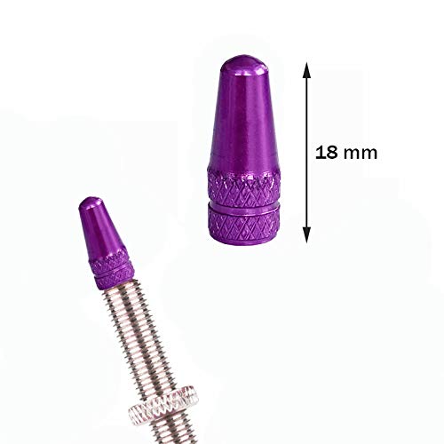 Winorda 40 Pieces 10 Colors Bike Tire Valve Stem Caps Aluminum French Bicycle Air Tire Caps Bike Valve Caps Presta Valve Caps Alloy