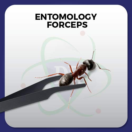 Featherweight Entomology Forceps Wide-Points for a Delicate enetology Work. Flexible Stainless-Steel – Bend & Re-Bend.
